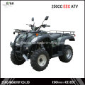 Jianshe 250ccm EEC Quad Big Power 10inch Rad